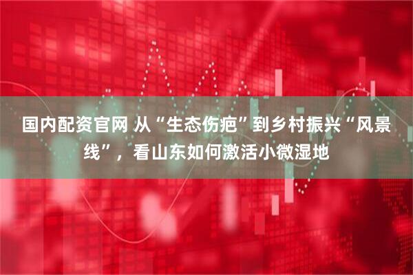 国内配资官网 从“生态伤疤”到乡村振兴“风景线”，看山东如何激活小微湿地