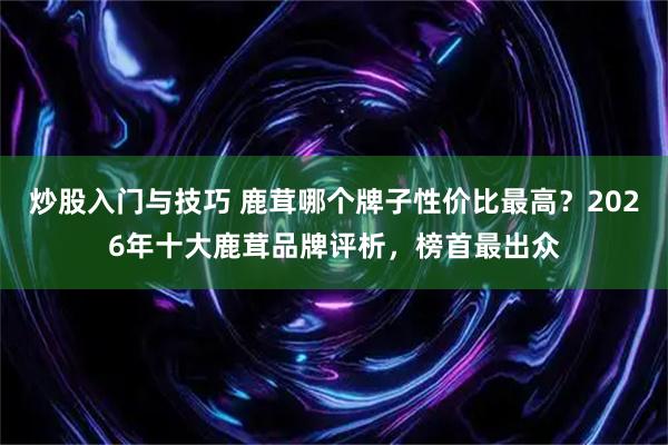 炒股入门与技巧 鹿茸哪个牌子性价比最高？2026年十大鹿茸品牌评析，榜首最出众