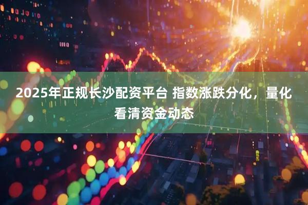 2025年正规长沙配资平台 指数涨跌分化，量化看清资金动态