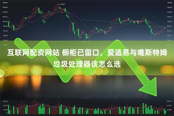 互联网配资网站 橱柜已留口，爱适易与唯斯特姆垃圾处理器该怎么选